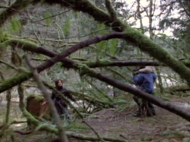 Скользящие — 2 сезон 11 серия — смотреть онлайн бесплатно в хорошем ...